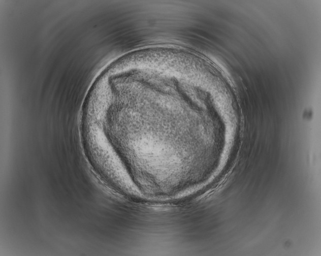 X0000095130899200712301822