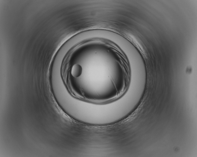 X0000095130900200712301822