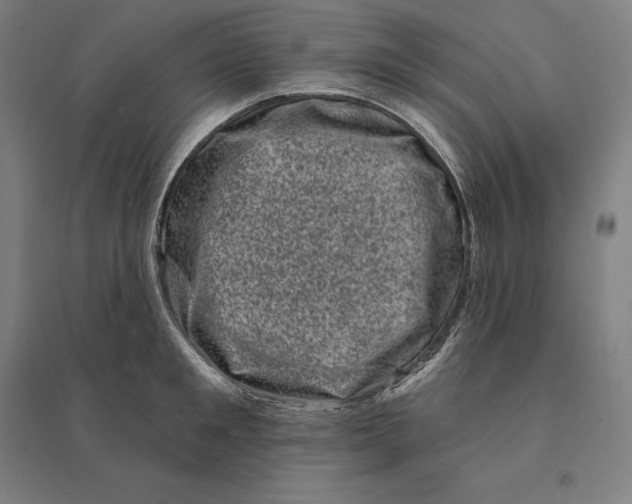 X0000095130901200712301822