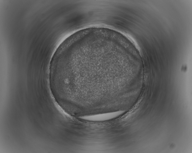 X0000095130903200712301822