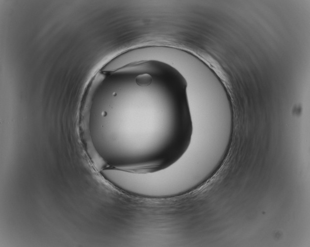 X0000095130904200712301822