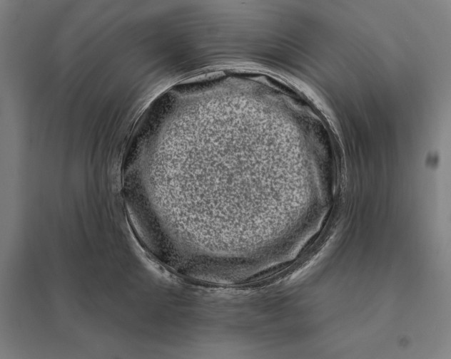 X0000095130905200712301822