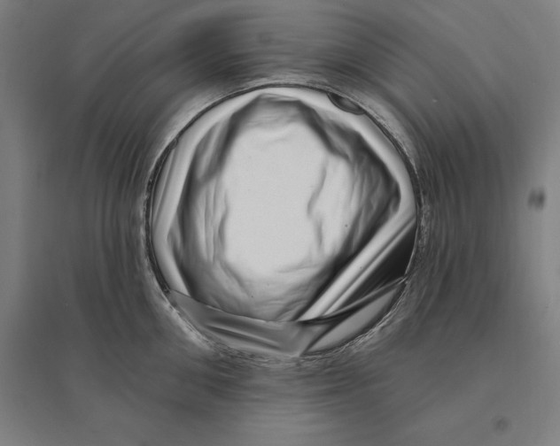 X0000095130906200712301822