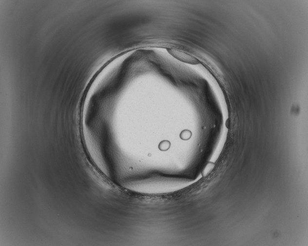 X0000095130907200712301821