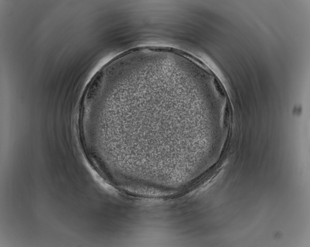 X0000095130909200712301821