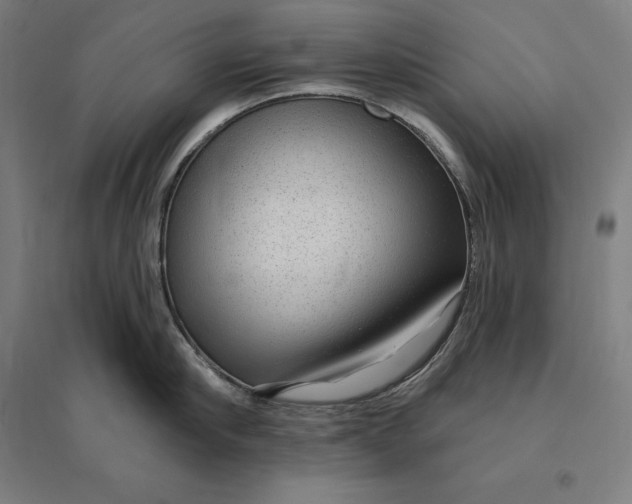 X0000095130910200712301821