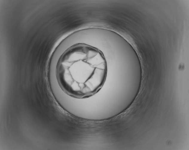 X0000095130912200712301821