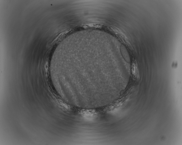 X0000095130915200712301821