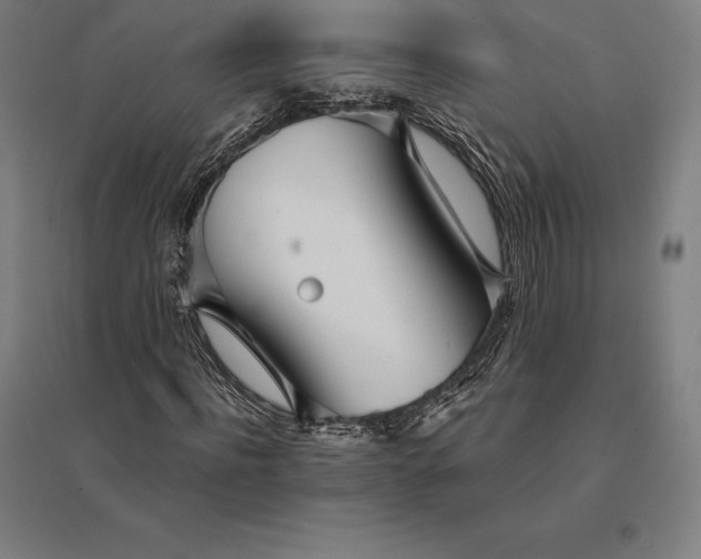 X0000095130916200712301821