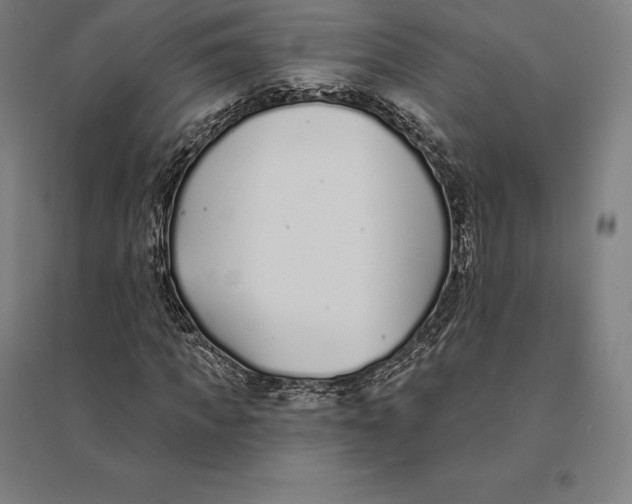 X0000095130917200712301821