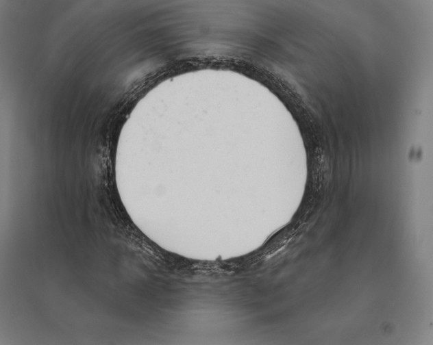 X0000095130918200712301821