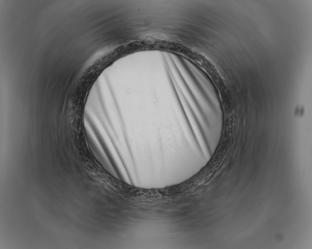 X0000095130919200712301821