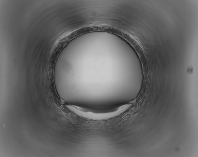 X0000095130920200712301821