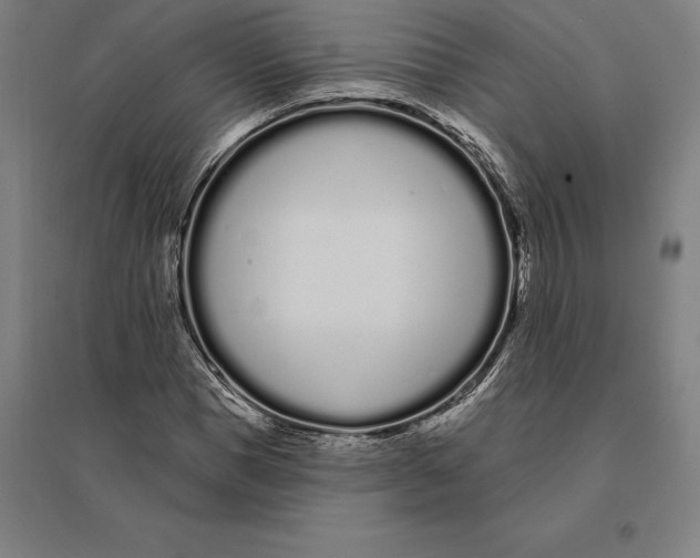 X0000095130921200712301821