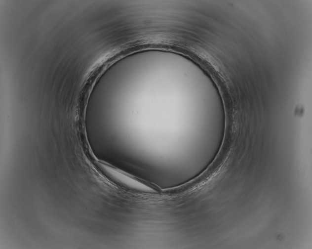 X0000095130922200712301821