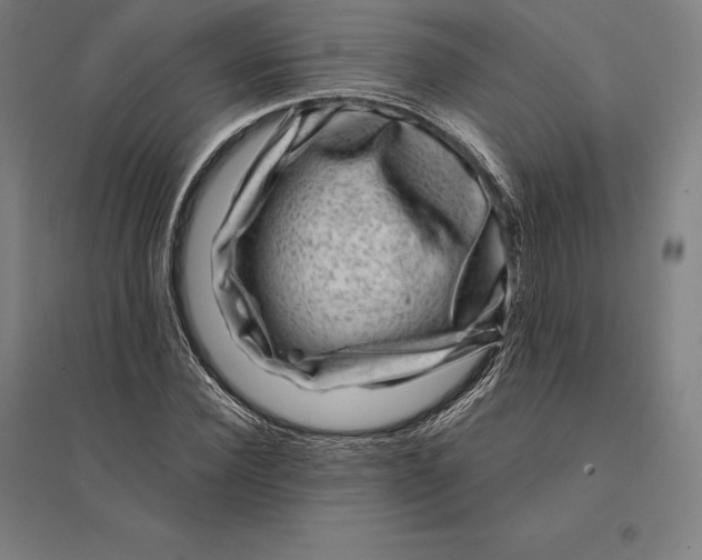 X0000095130924200712301821