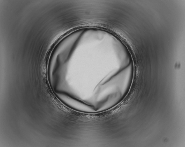 X0000095130925200712301821