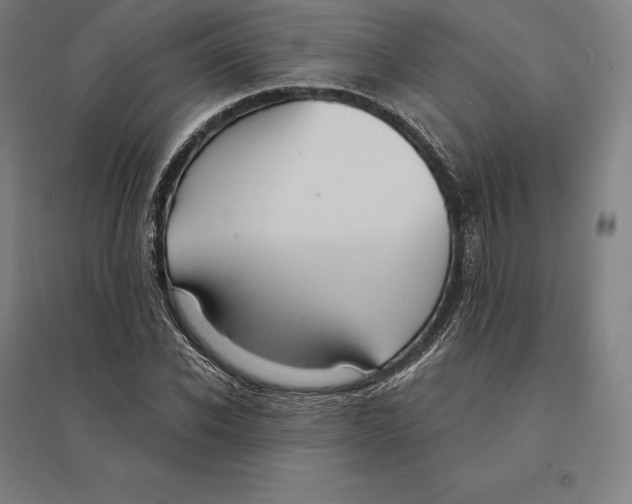 X0000095130926200712301821