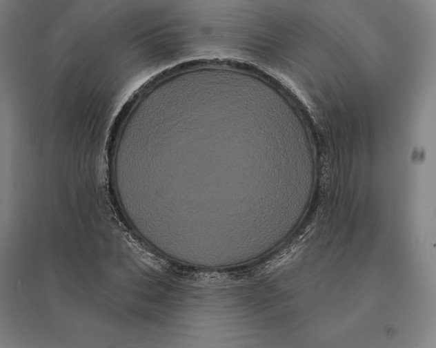 X0000095130927200712301821