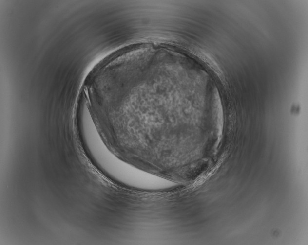 X0000095130928200712301821