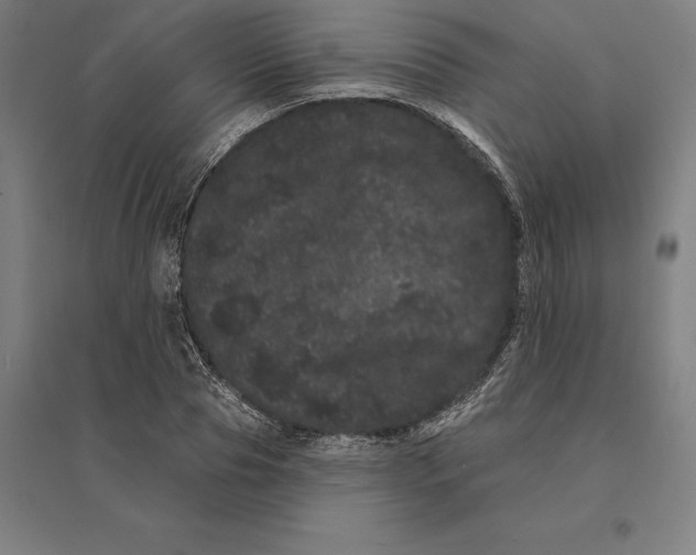 X0000095130929200712301821