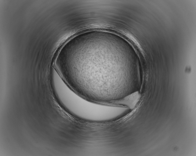 X0000095130930200712301821