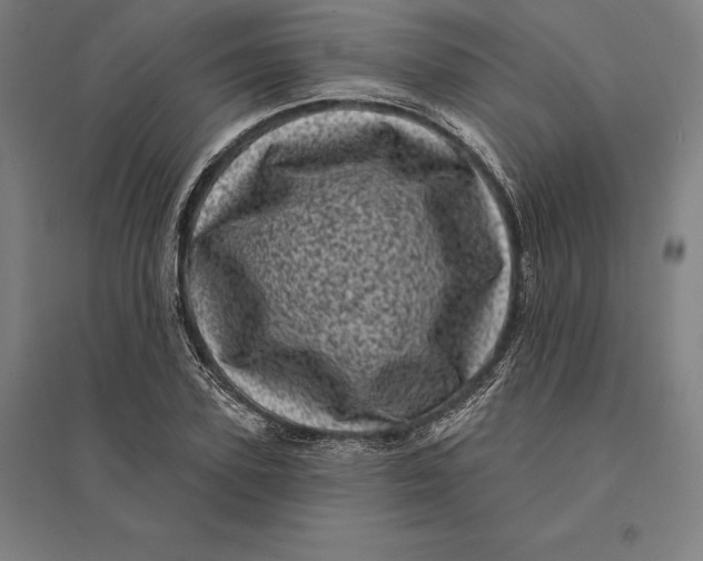 X0000095130931200712301821