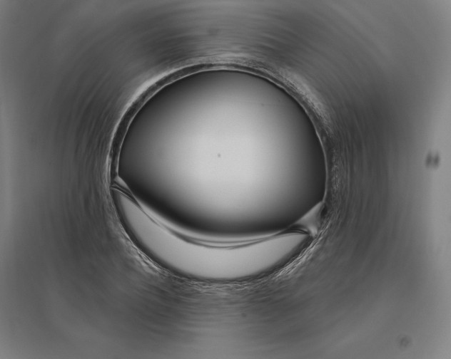 X0000095130932200712301821