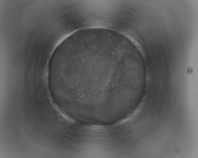 X0000095130933200712301821