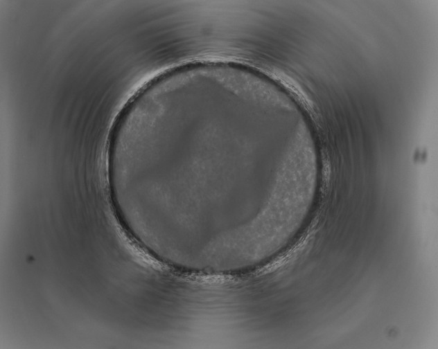 X0000095130934200712301821