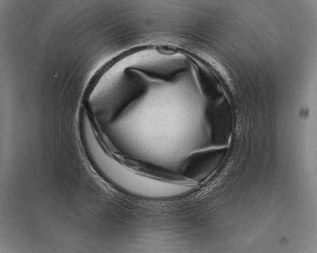 X0000095130936200712301821