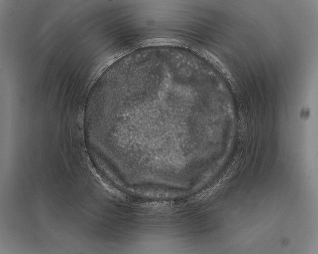 X0000095130937200712301821