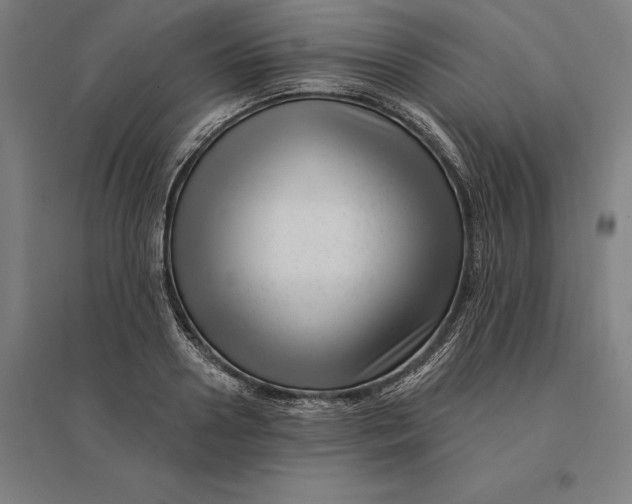 X0000095130938200712301821