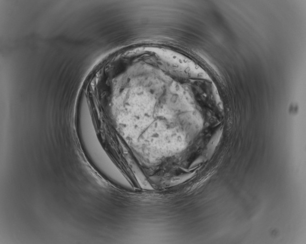 X0000095130940200712301821