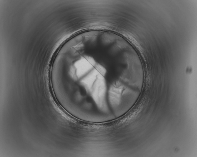 X0000095130941200712301821