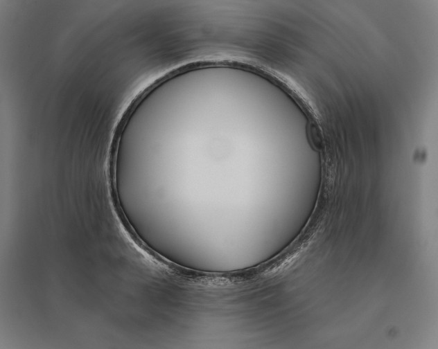 X0000095130943200712301821