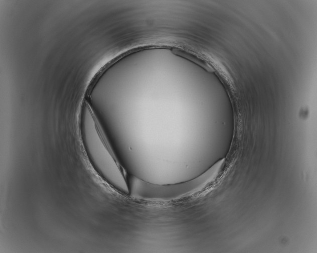 X0000095130944200712301821