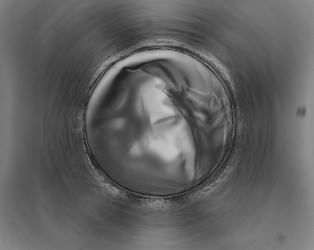 X0000095130945200712301821