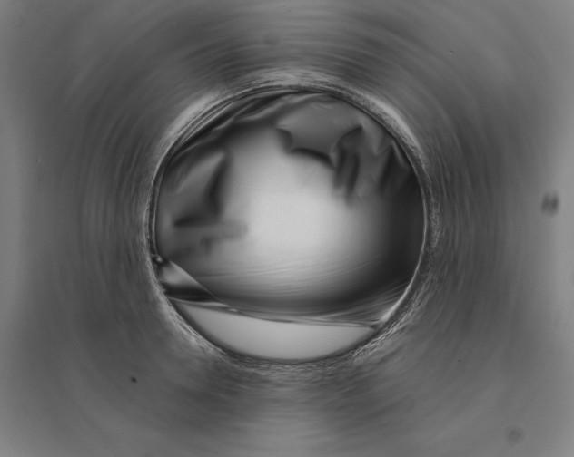 X0000095130946200712301821