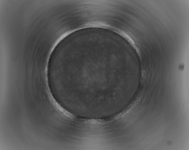 X0000095130947200712301821