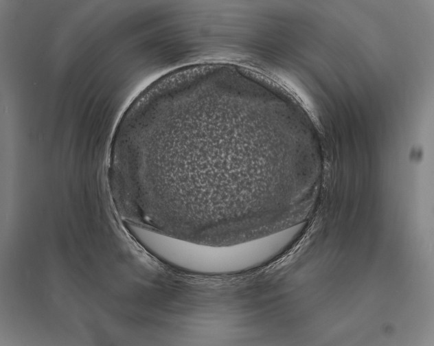 X0000095130948200712301821