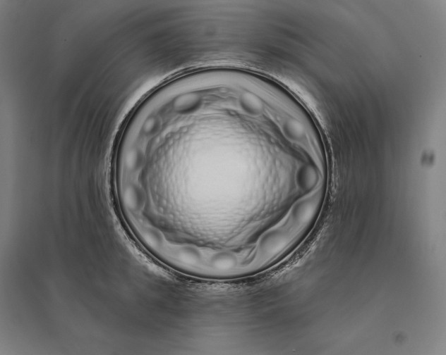 X0000095130949200712301821