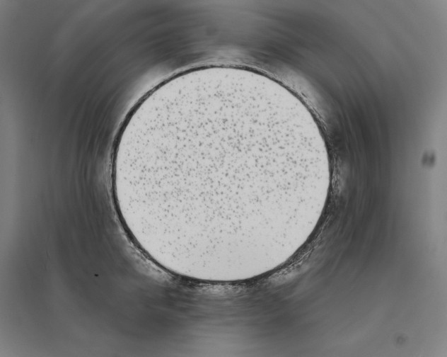 X0000095130950200712301821