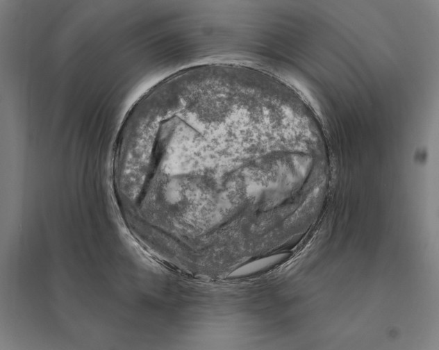 X0000095130952200712301821