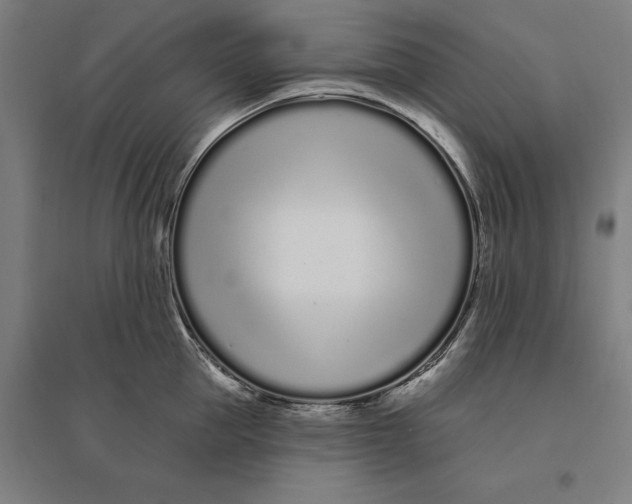 X0000095130953200712301821