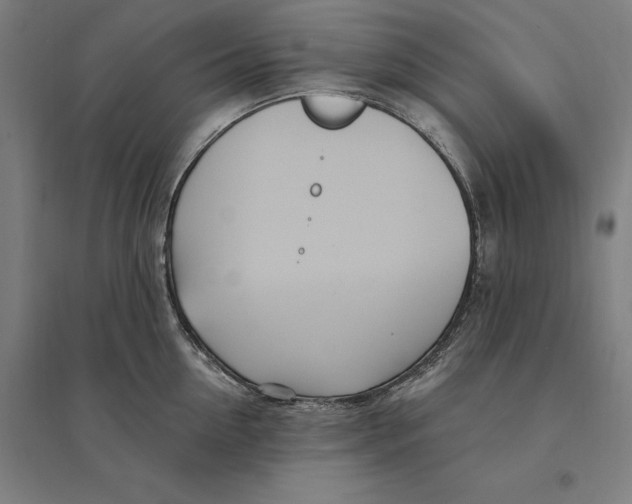 X0000095130954200712301821