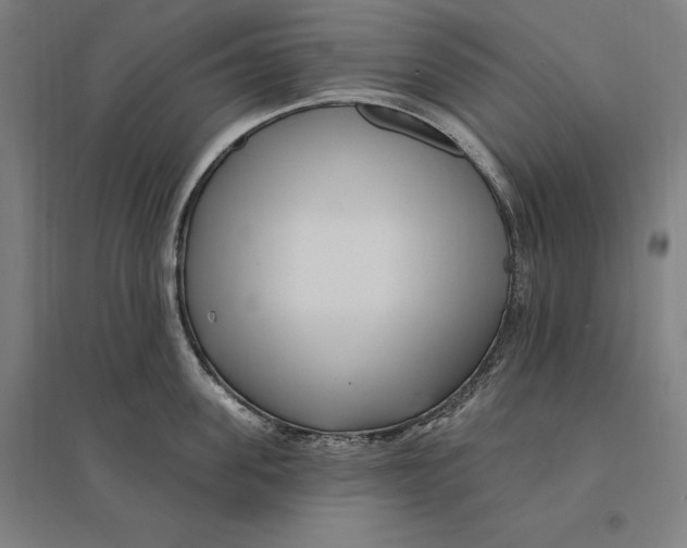 X0000095130955200712301821