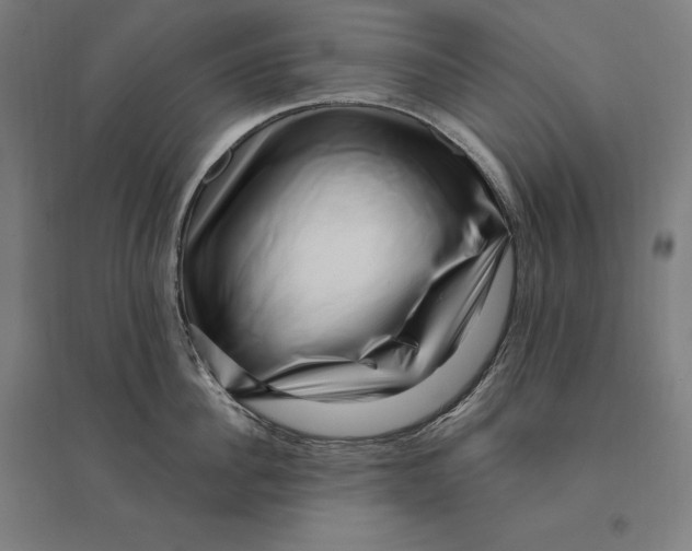 X0000095130956200712301821