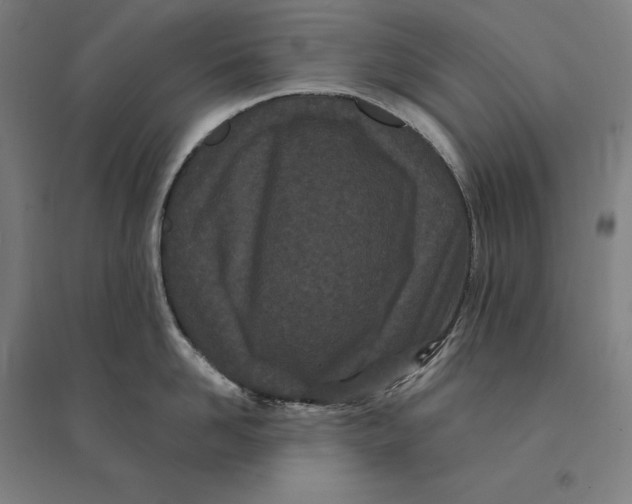 X0000095130958200712301821