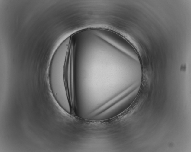 X0000095130959200712301821